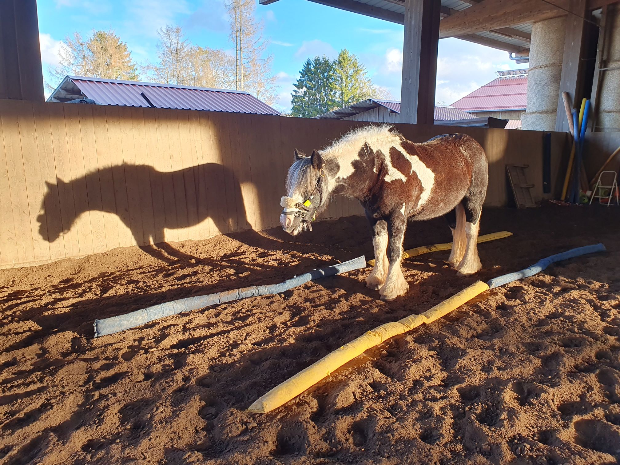 2023 11 November 581